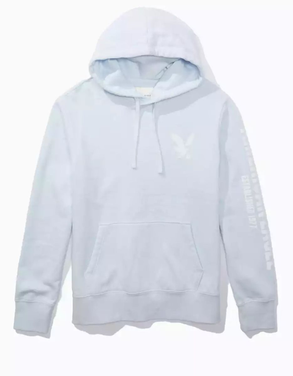 Sweat à Capuche American Eagle AE Super Soft Icon Graphique Bleu Clair Homme | VNJ-35684321